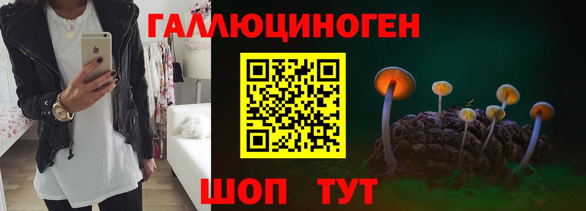 Галлюциногенные грибы прущие грибы  Псилоцибиновые грибы Cubensis  Вход с VPN  Кимовск 
